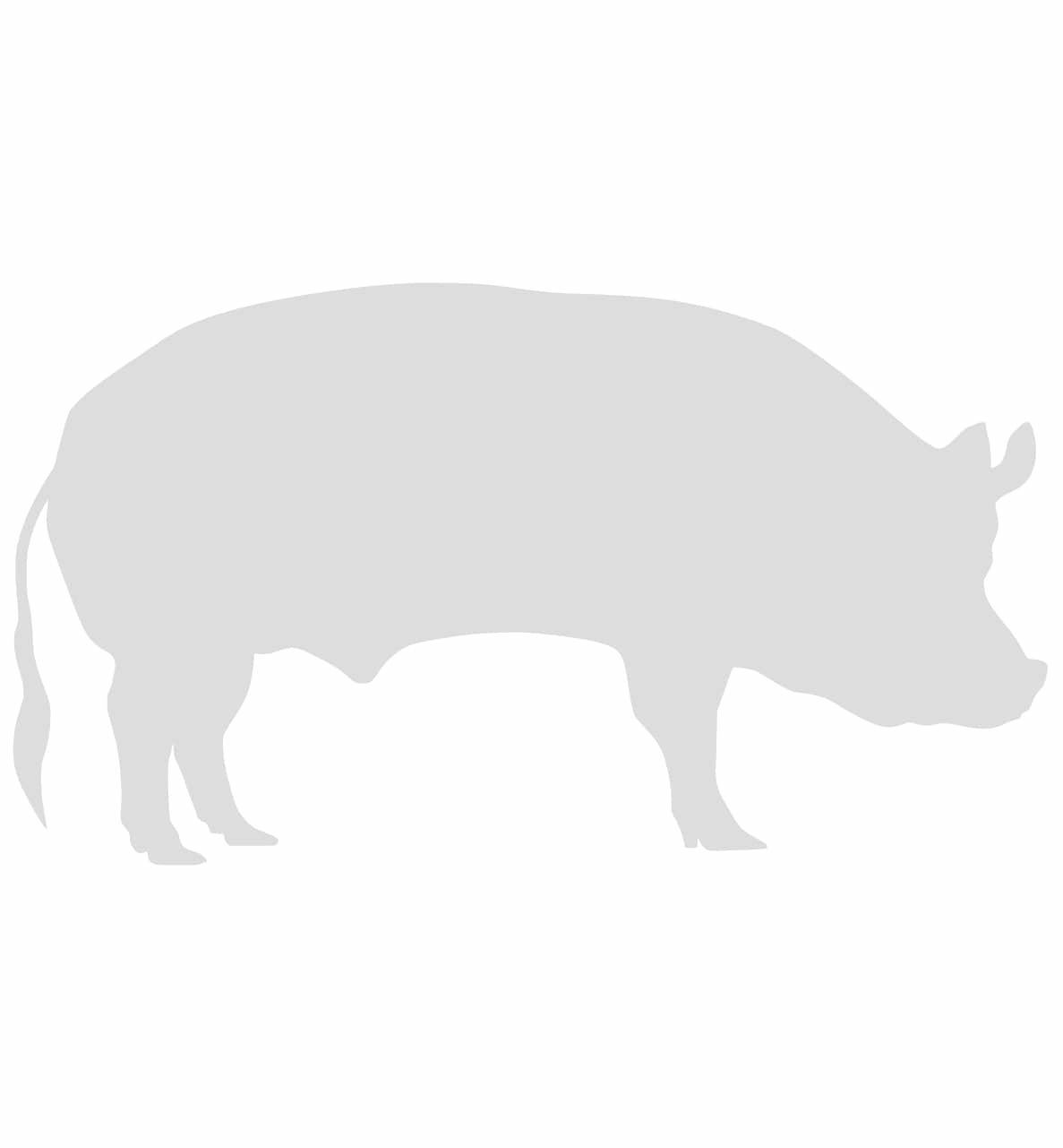 100% Natural Iberian Pork