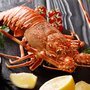 Wild lobster caught in the deep sea