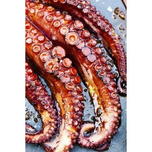 octopus tentacle 80/120 grammes